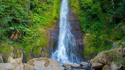 Dolphin Lovina & Bedugul Tour Package - Image - 12159